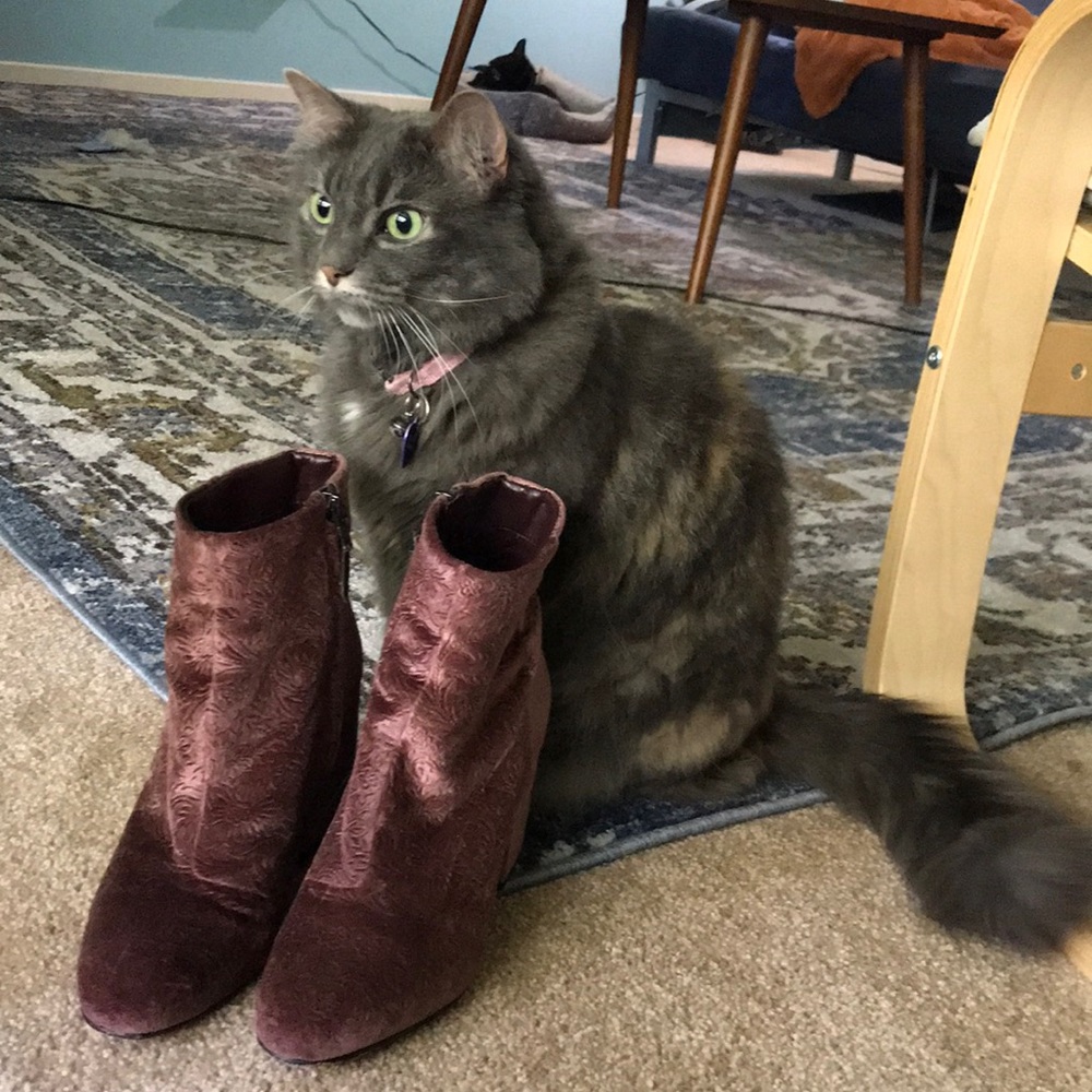 Sam Edelman boots